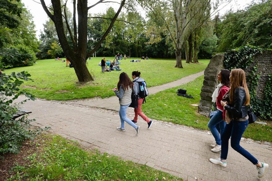 Places to relax outside on campus