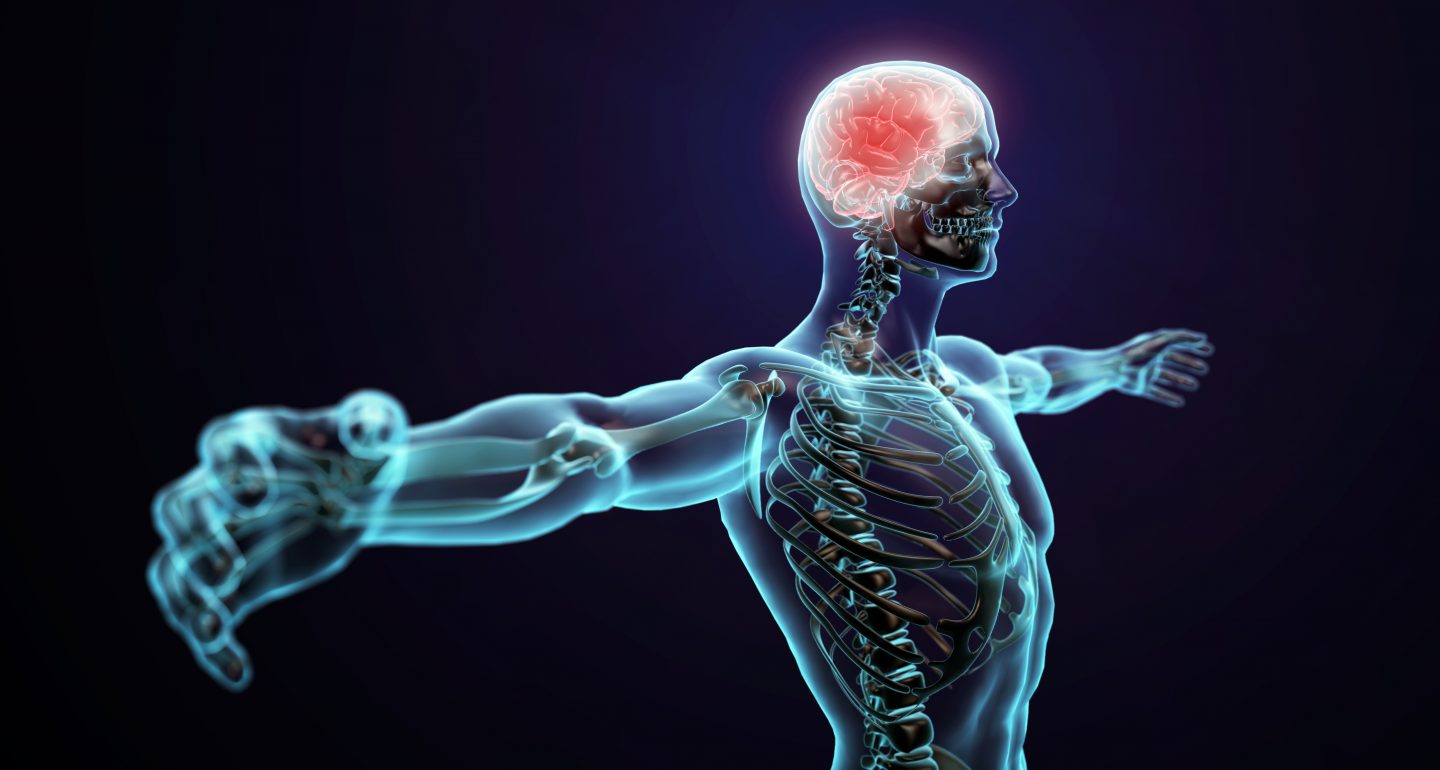 Train your brain