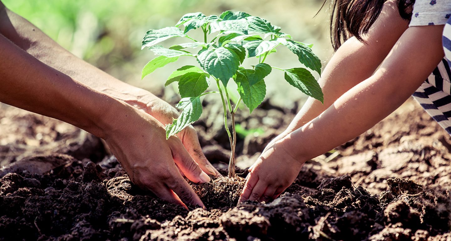Séance d'information - Master de spécialisation en nutrition et transition alimentaire