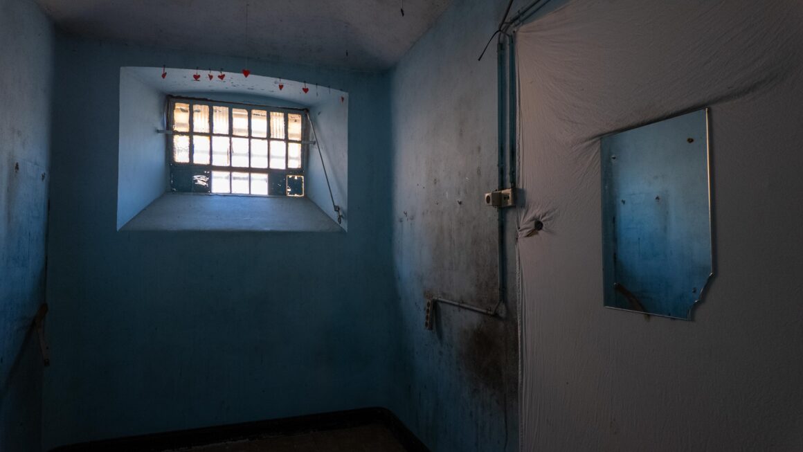 Prison forest 3
