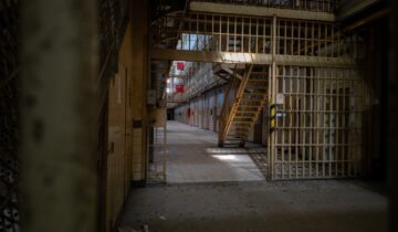Prison forest 2
