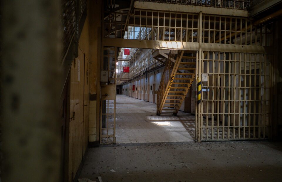 Prison forest 2